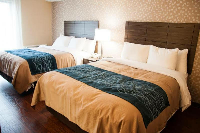 Comfort Inn Lévis Exterior foto